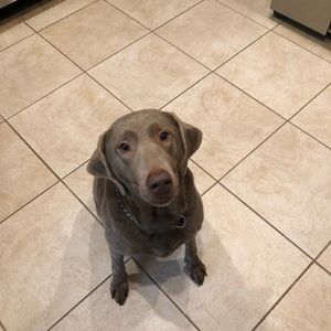 Meet your Posher, Benjamin